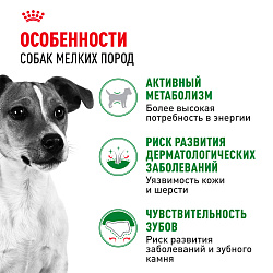Cухой корм Royal Canin Mini Adult (МИНИ ЭДАЛТ) 8 кг